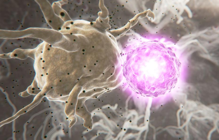 Incubación del virus del dengue