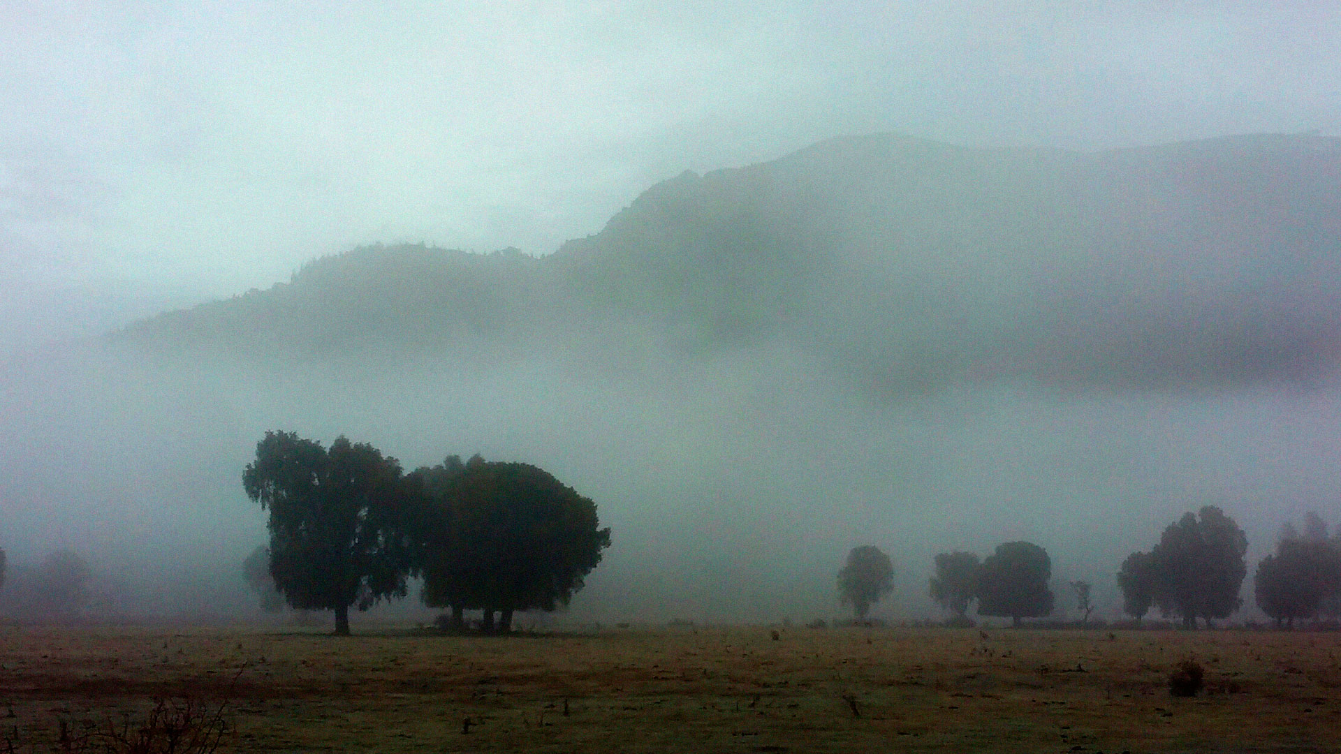 El-manso_03 (1)
