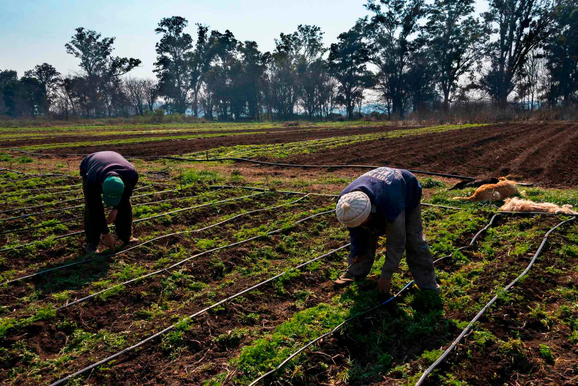 Agroecología_03