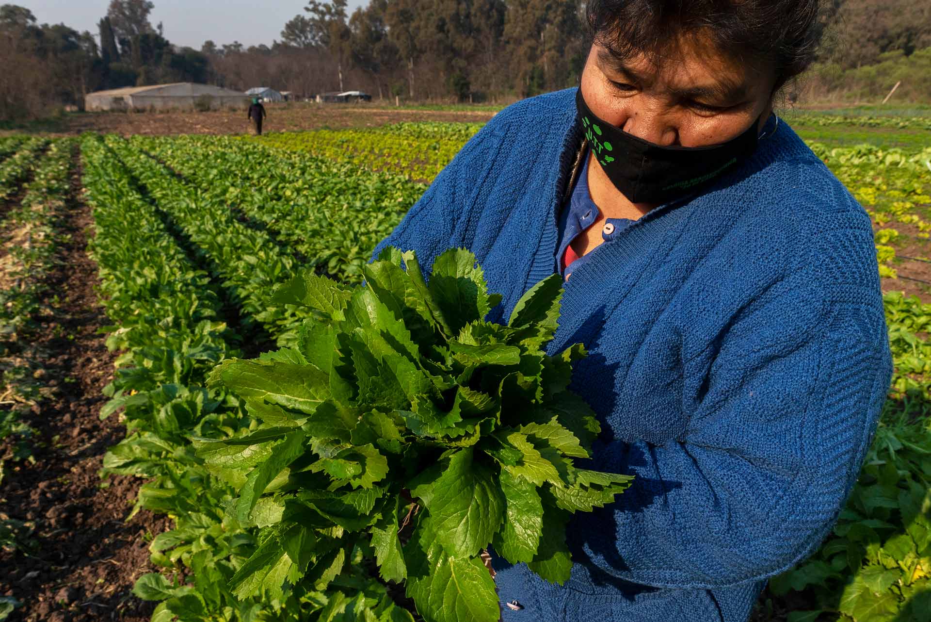 Agroecología_04