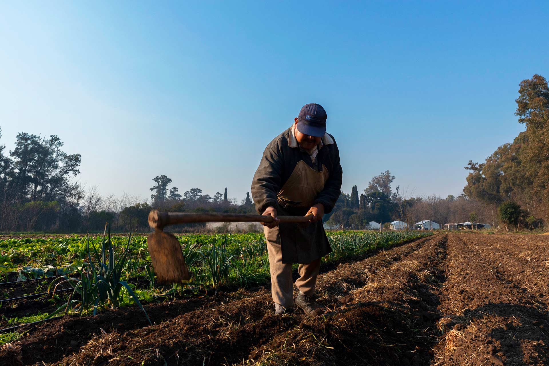 Agroecología_06