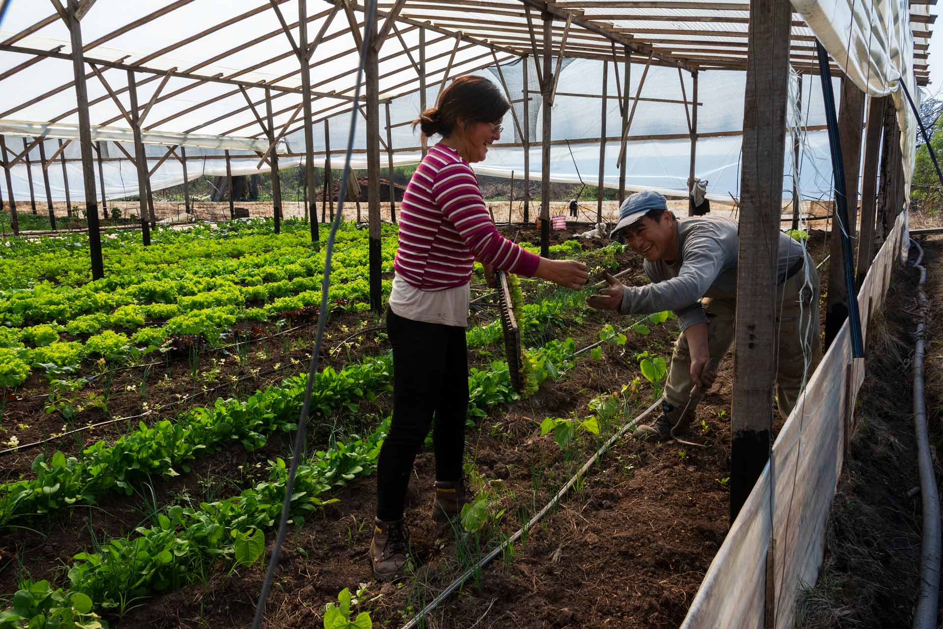 Agroecología_08