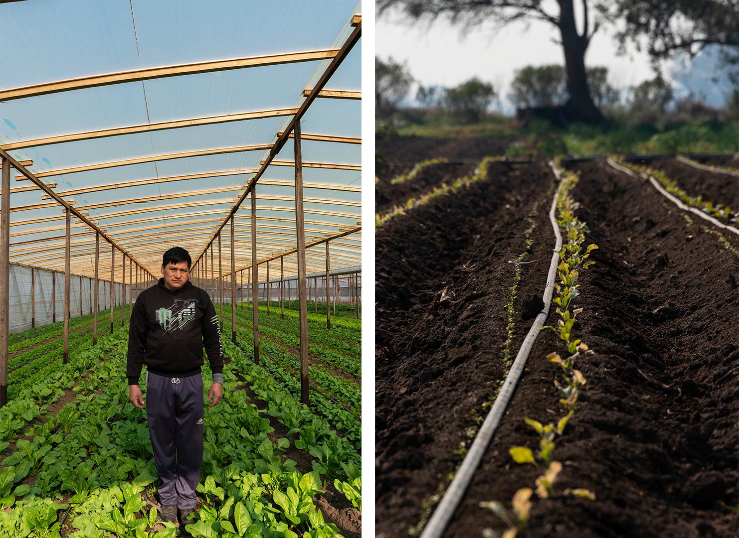 Agroecología_09