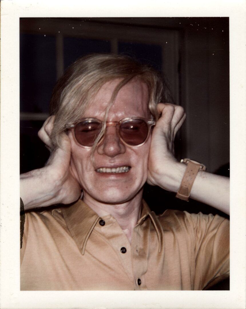 Amor asexual: los diarios de Andy Warhol - Revista Anfibia