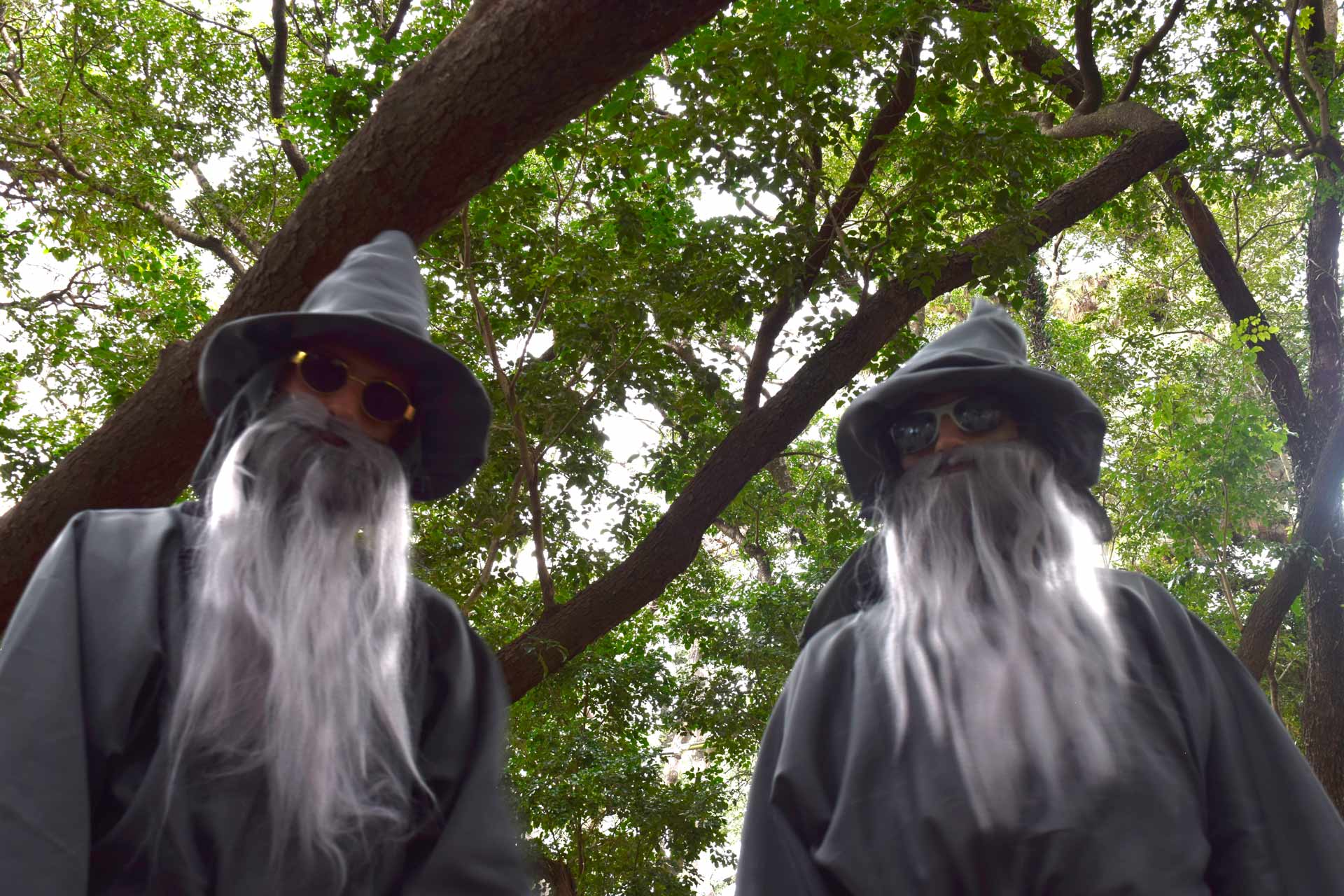 Gandalf_02
